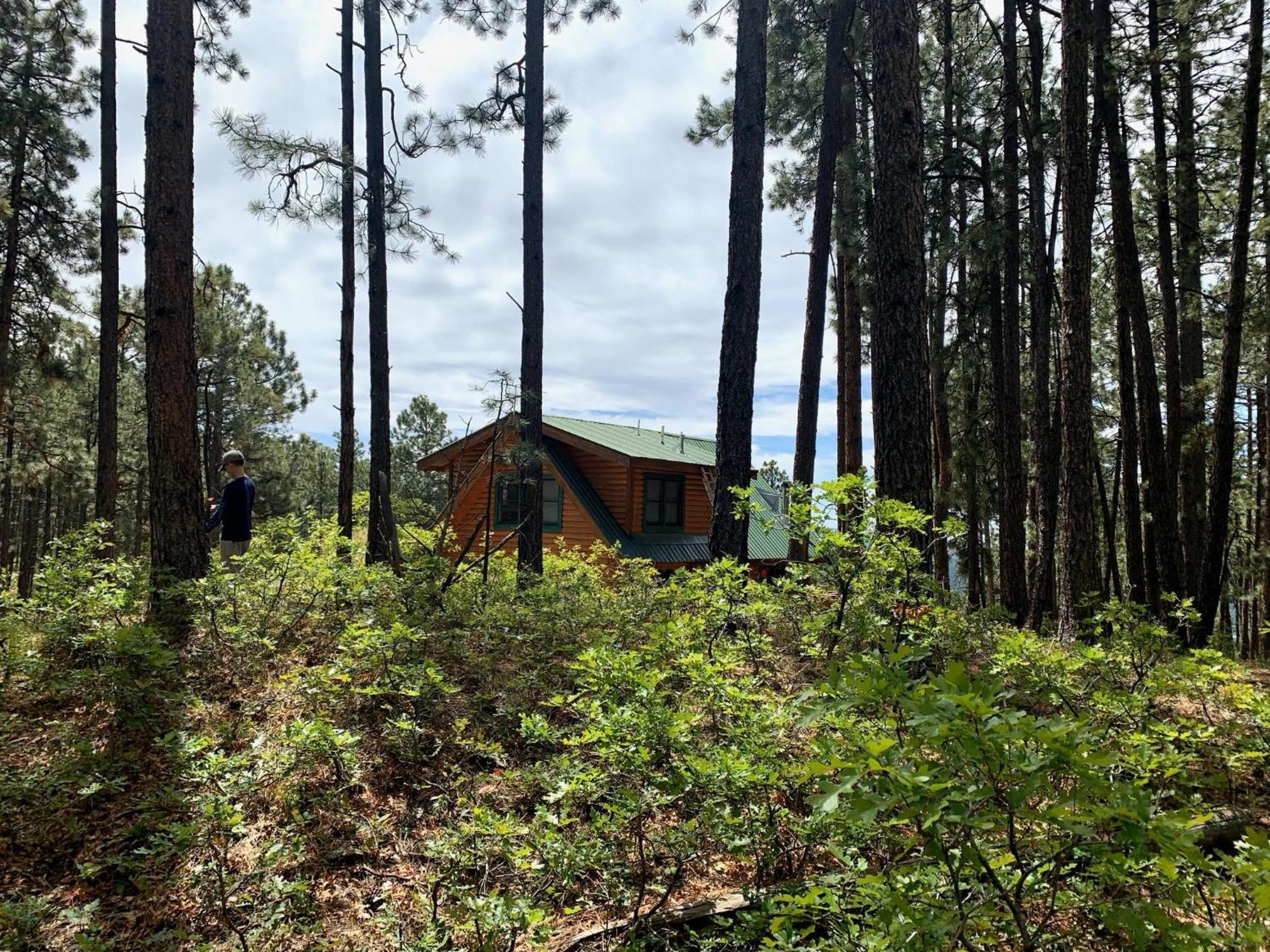 Bear Paw Lodge & Vacation Homes Vallecito Bagian luar foto